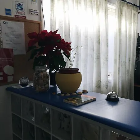 Hotel Alojamento Baixa Mar